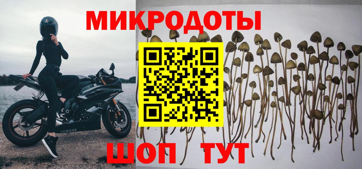 Елизово  Галлюциногенные грибы ЛСД  Вход с VPN 