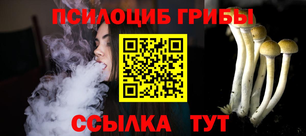 Псилоцибиновые грибы GOLDEN TEACHER Елизово